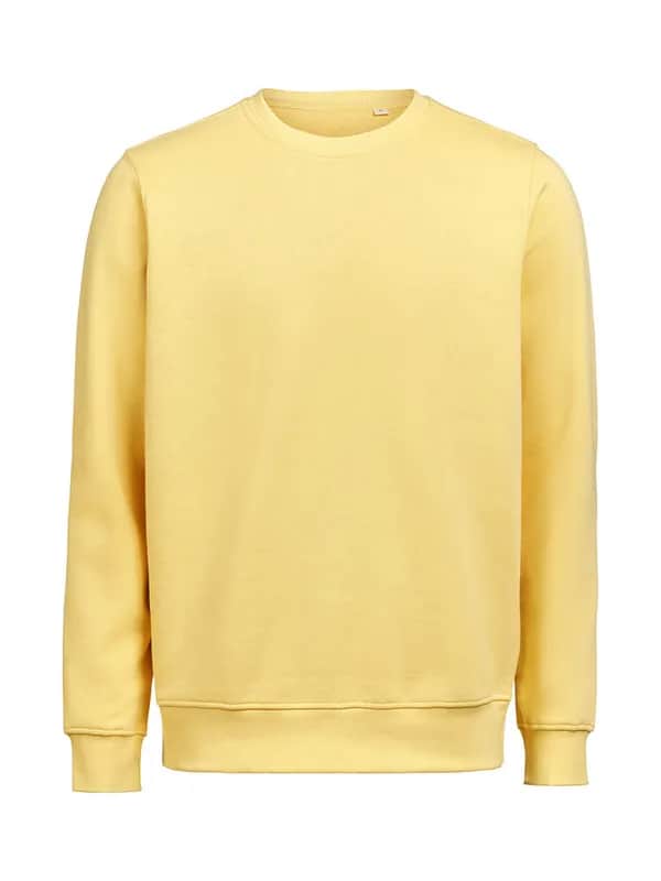 UM Pullover (OCS-RCS)  Regular Fit Unisex - Ray