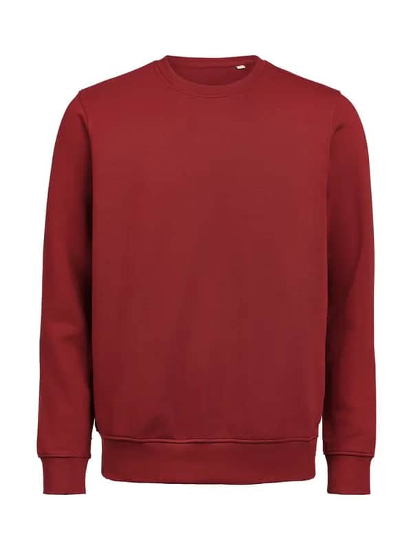 UM Pullover (OCS-RCS)  Regular Fit Unisex - Brick