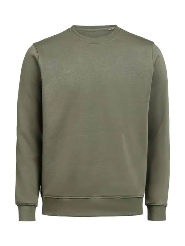 UM Pullover (OCS-RCS)  Regular Fit Unisex - Thyme