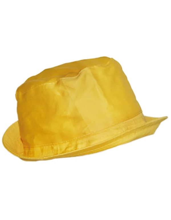 Sonnenhut - Yellow