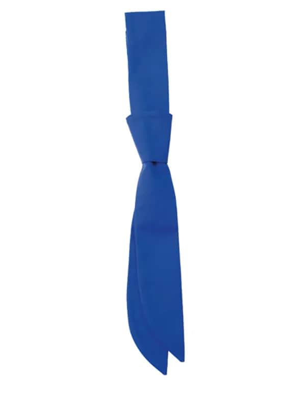 Short Tie Siena - Bugatti