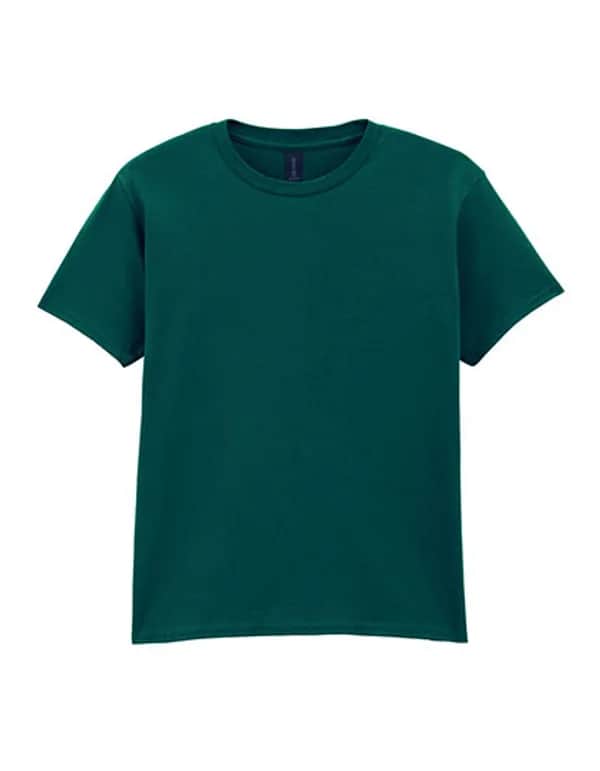 Softstyle® Youth T-Shirt - Fan Marine Green