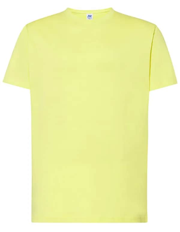Regular Premium T-Shirt - Pistachio