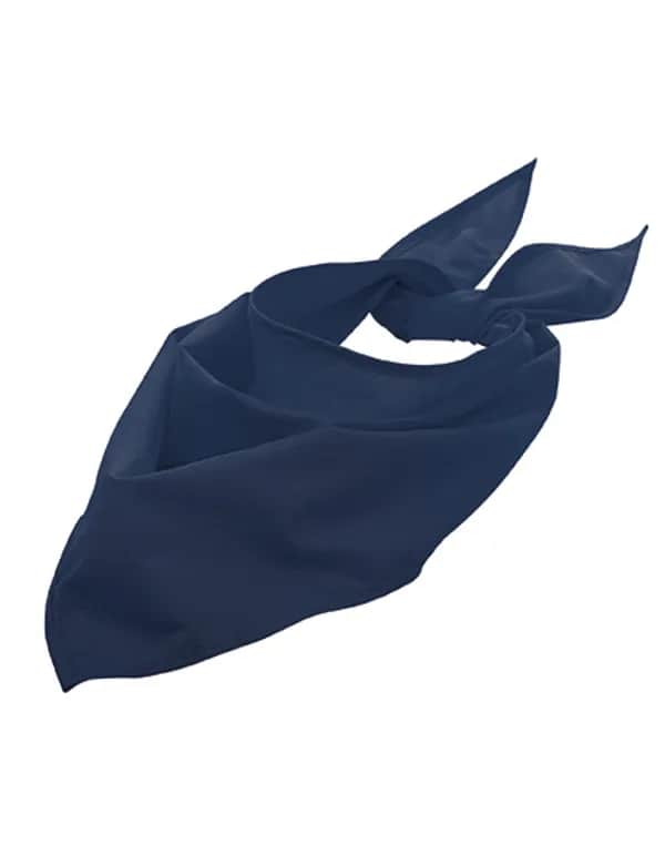 Bandana - French Navy