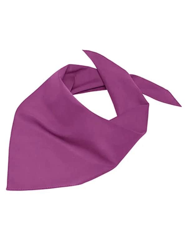 Triangular Scarf - Purple