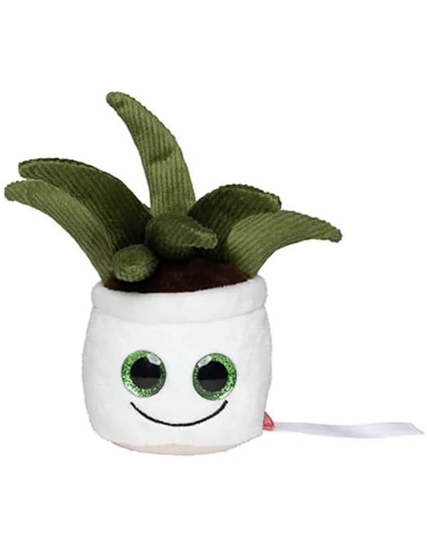 Schmoozies® Evergreenies® Aloe Vera - Multicolour