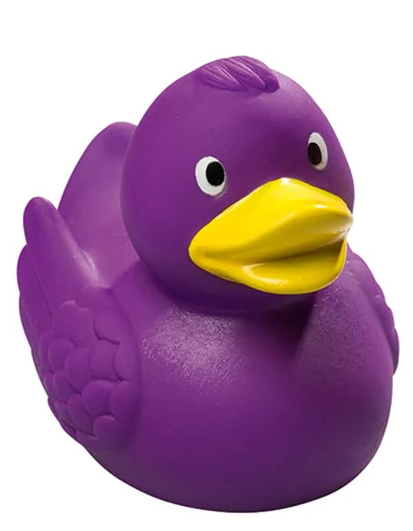 Schnabels® Quietsche-Ente - Purple