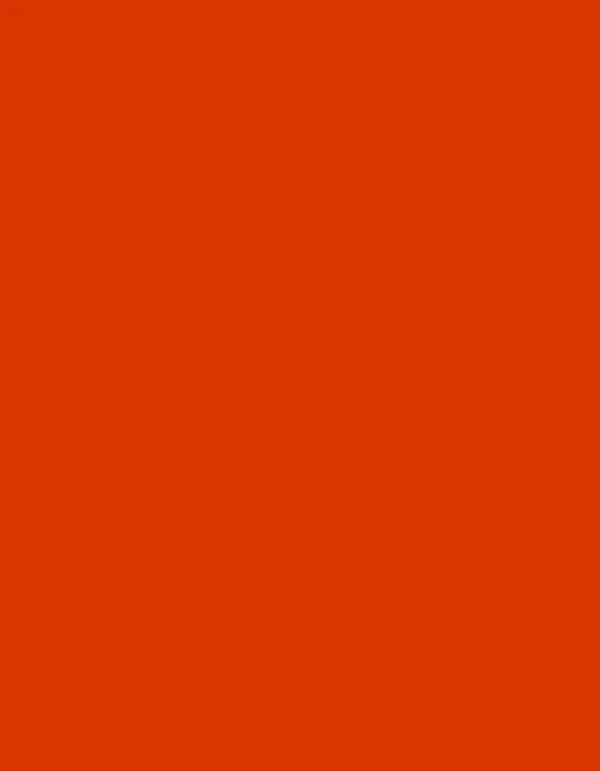 Polyneon 40 (1.000 m) - 1987 Orange