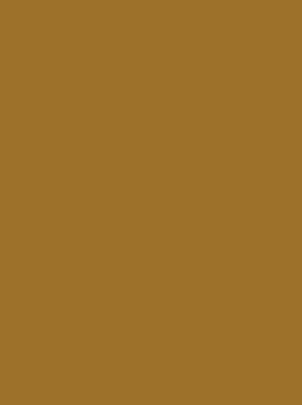 Polyneon 40 Green (5.000 m) - 1672 Dark Gold