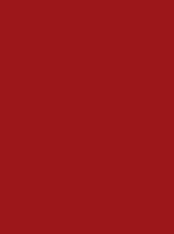 Polyneon 40 Green (5.000 m) - 1839 Red