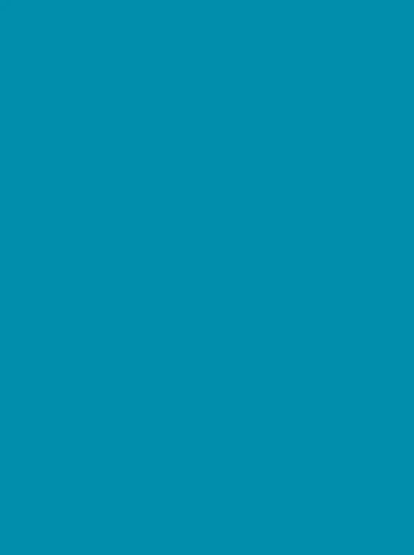 Polyneon 40 Green (5.000 m) - 1895 Blue