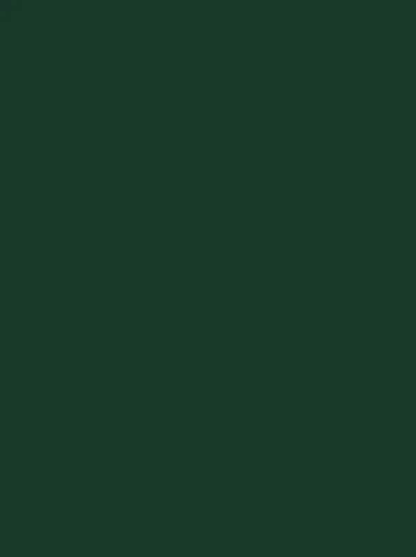 Polyneon 40 Green (5.000 m) - 1902 Dark Green