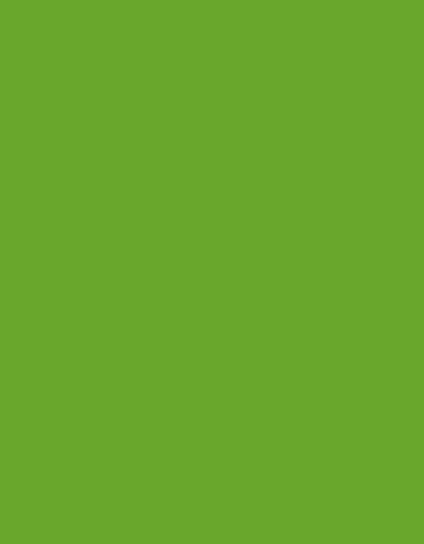Frosted Matt No. 40 (2.500 m) - 7649 Green