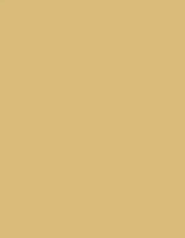 Frosted Matt No. 40 (2.500 m) - 7670 Yellow