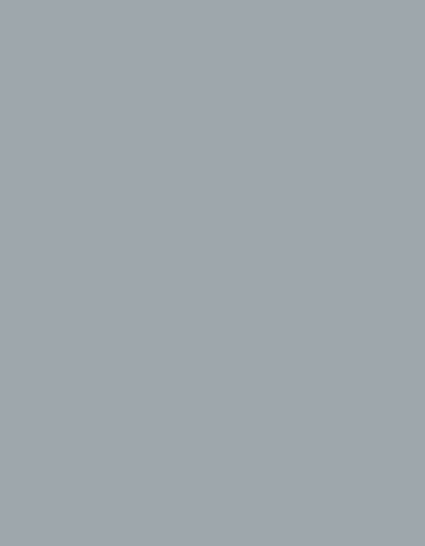 Polyneon 60 (1.500 m) - 1718 Grey