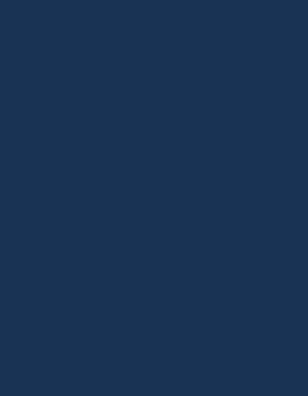 Polyneon 60 (1.500 m) - 1742 Light Navy