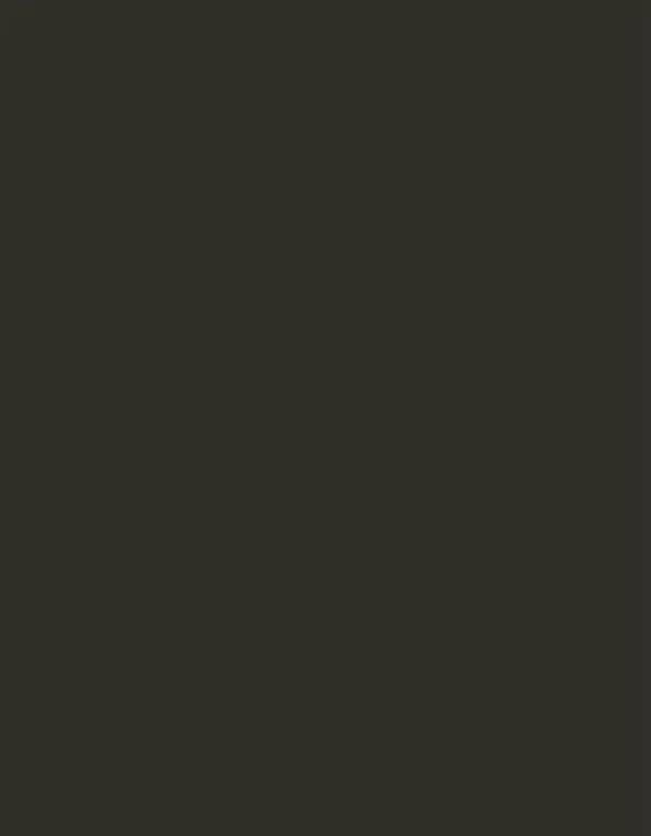 Polyneon 40 (1.000 m) - 1859 Brown