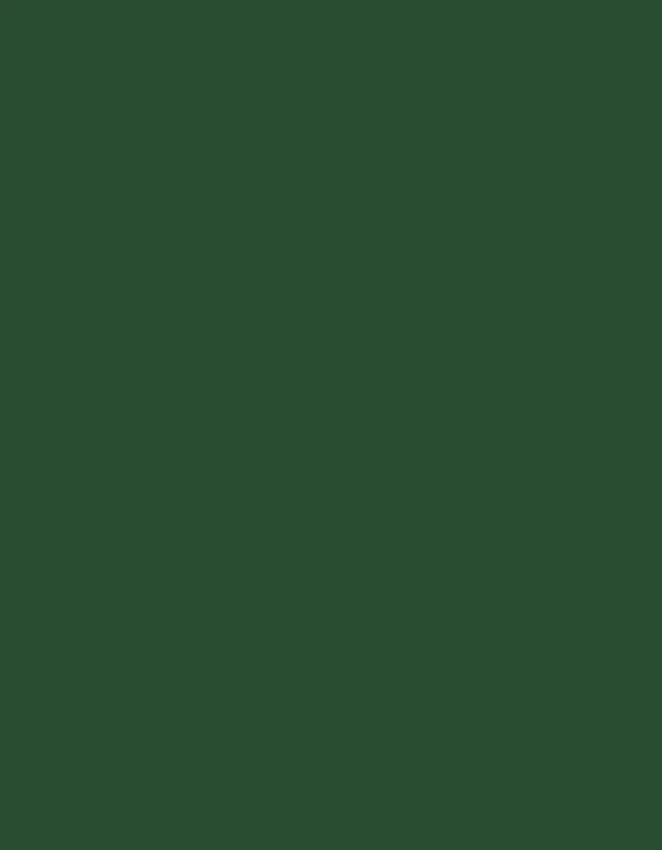 Polyneon 60 (1.500 m) - 1970 Dark Green
