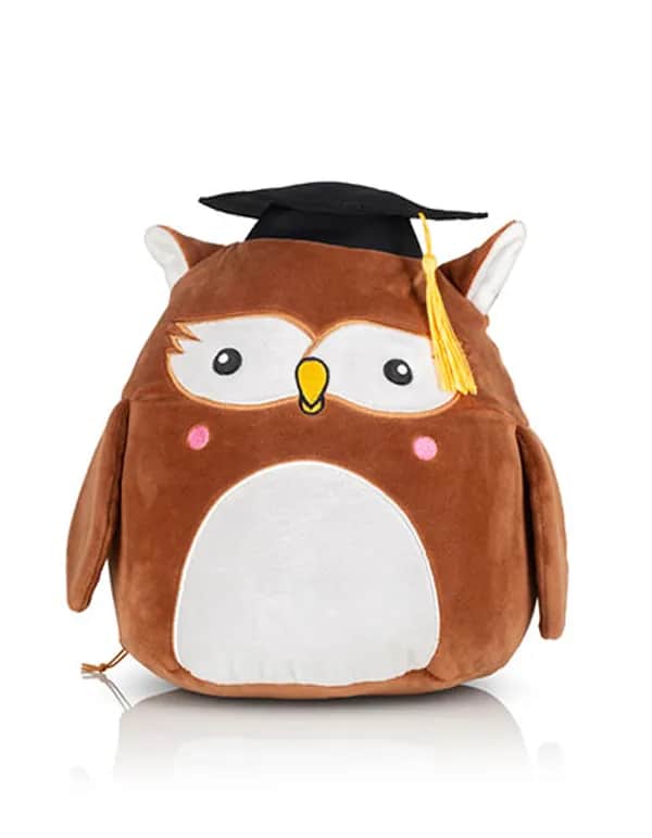 Squidgys - Wise Owl