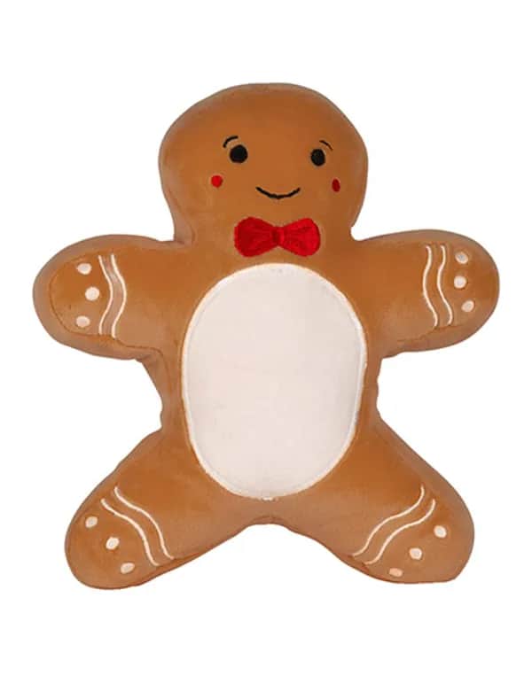 SquidgeMe - Gingerbread Man