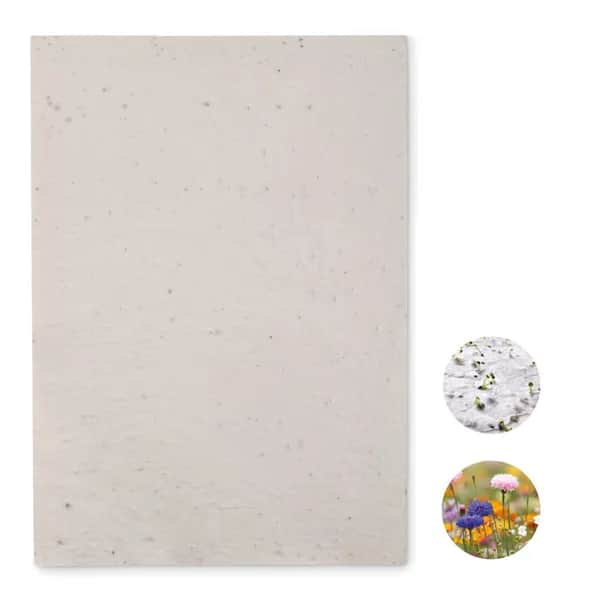 DIN A4 Wildblumen-Samenpapier - ASIDI - Weiß