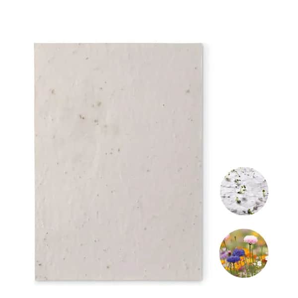 DIN A5 Wildblumen-Samenpapier - ASIDE - Weiß