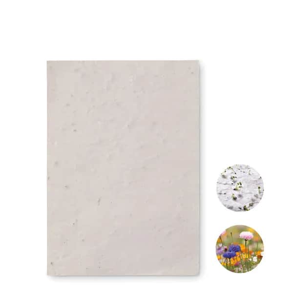 DIN A6 Wildblumen-Samenpapier - ASIDO - Weiß