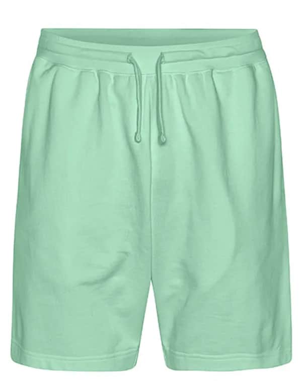 Sweatshorts - Dusty Mint