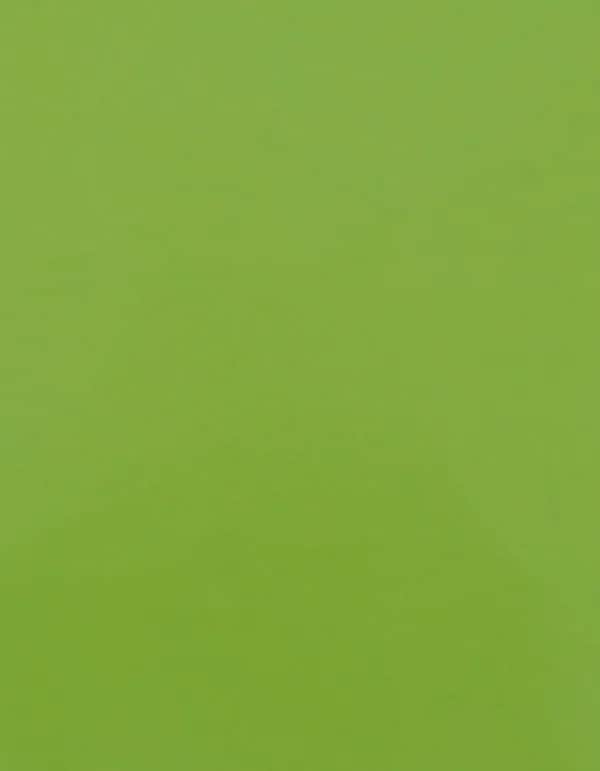 CAD-CUT® Premium Plus - Apple Green 421 (ca. Pantone 368C)