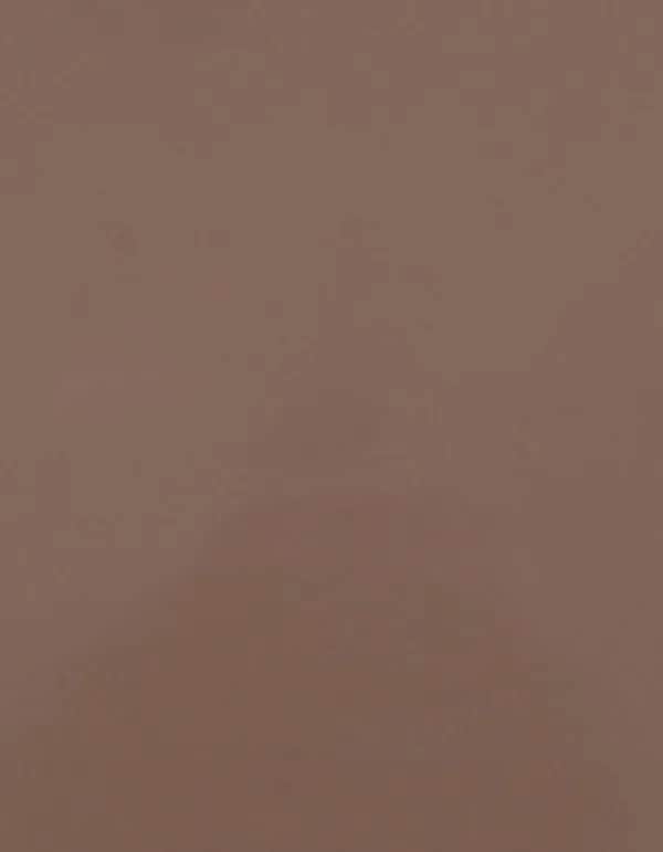 CAD-CUT® Premium Plus - Cream 005 (ca. Pantone 479C)