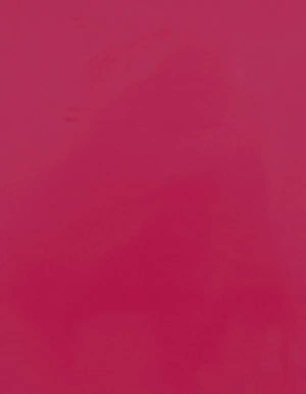 CAD-CUT® Premium Plus - Fuchsia 250 (ca. Pantone 214C)