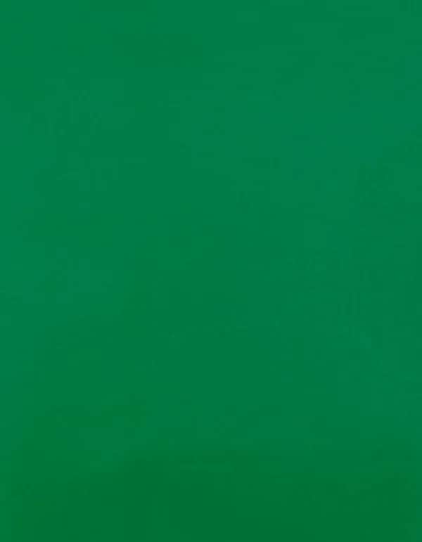 CAD-CUT® Premium Plus - Green 400 (ca. Pantone 7727C)