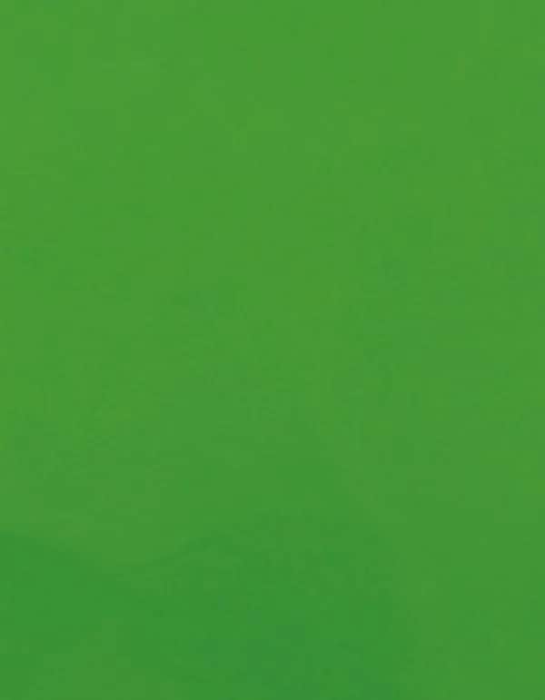 CAD-CUT® Premium Plus - Light Green 422 (ca. Pantone 362C)