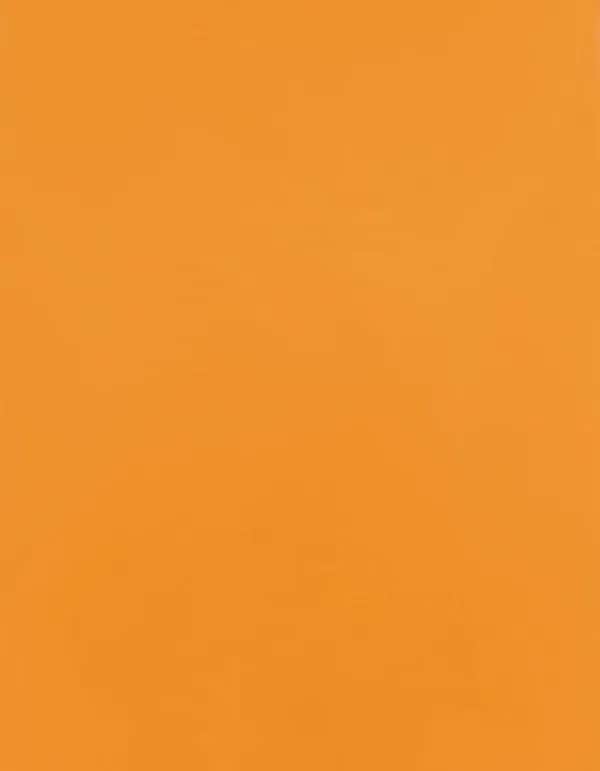 CAD-CUT® Premium Plus - Light Orange 185 (ca. Pantone 1495C)