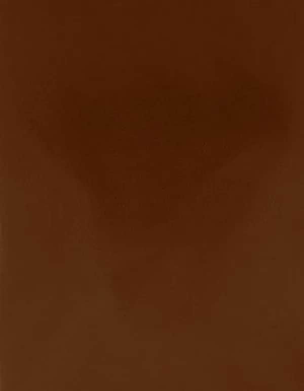 CAD-CUT® Premium Plus - Medium Brown 555 (ca. Pantone 2472C)