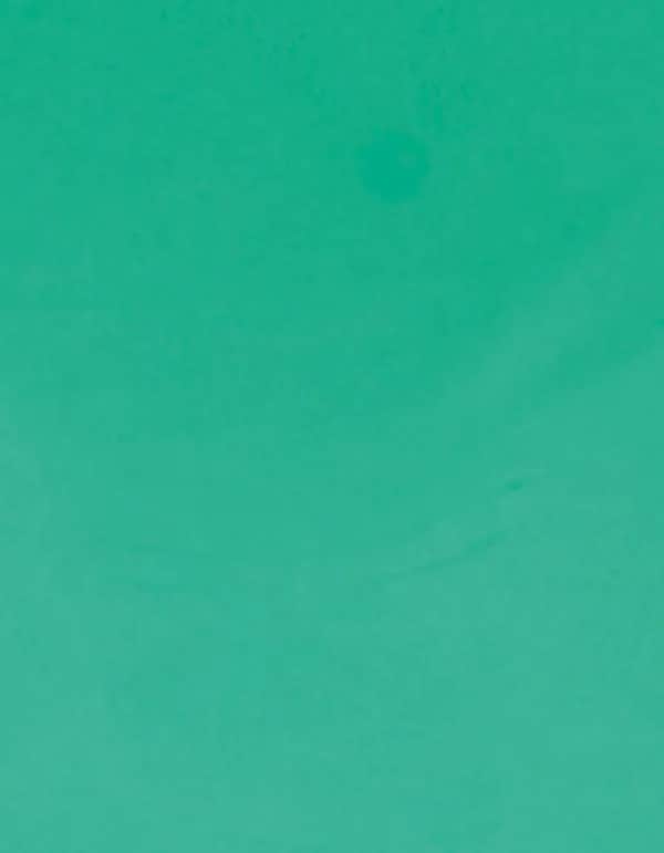 CAD-CUT® Premium Plus - Mint 419 (ca. Pantone 339C)
