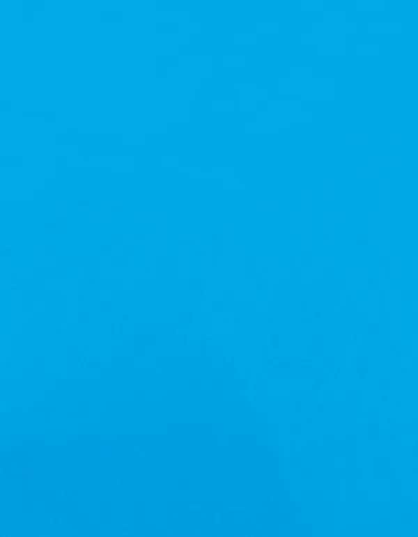 CAD-CUT® Premium Plus - Neon Blue 301