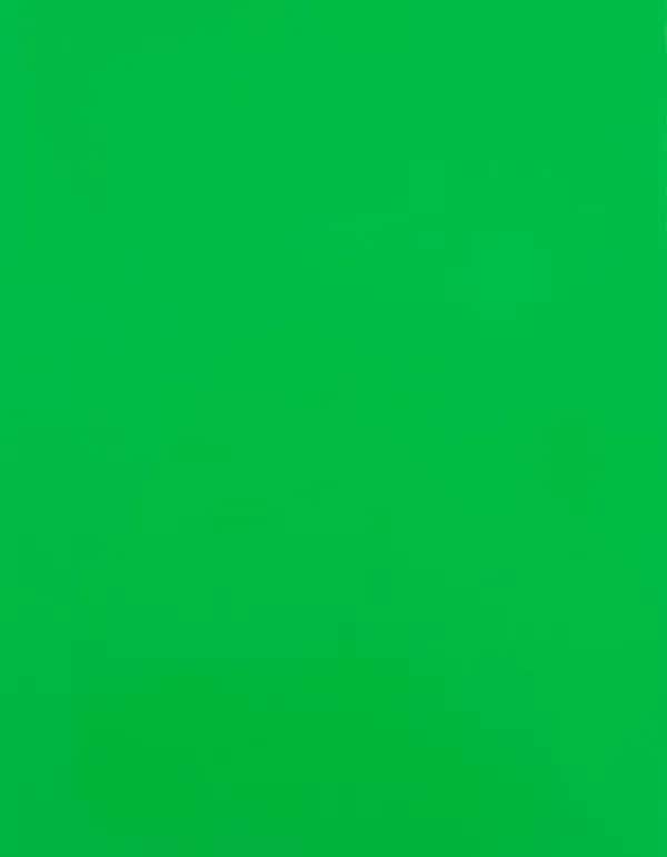 CAD-CUT® Premium Plus - Neon Green 401