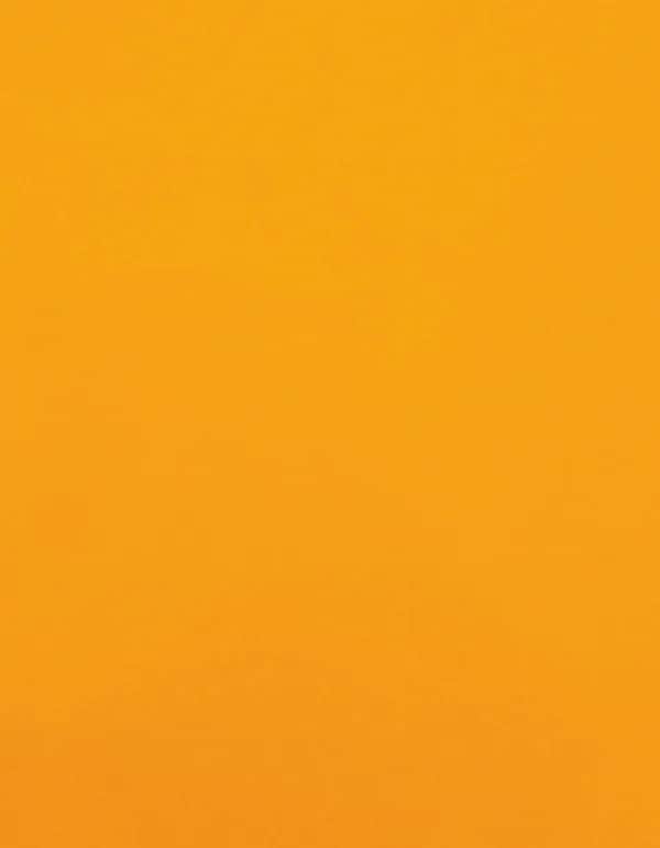 CAD-CUT® Premium Plus - Neon Orange 181