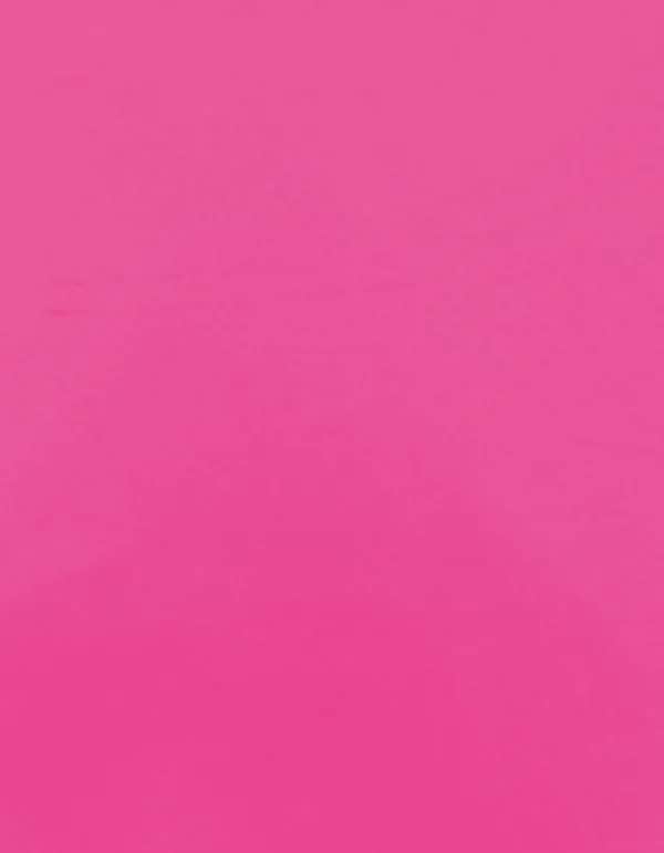 CAD-CUT® Premium Plus - Neon Pink 241