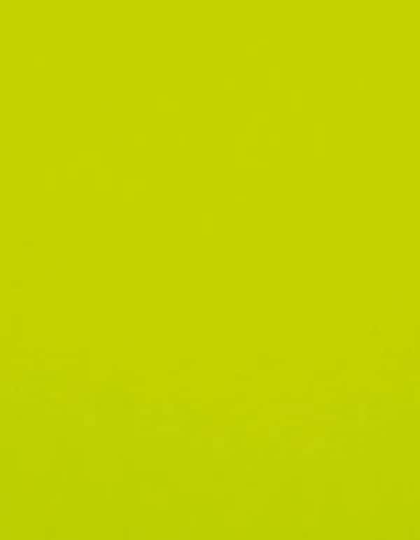 CAD-CUT® Premium Plus - Neon Yellow 101