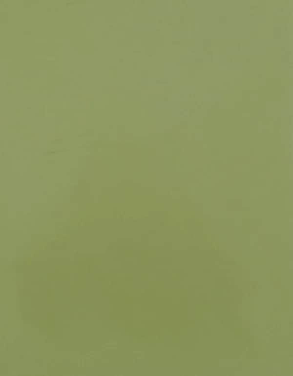 CAD-CUT® SportsFilm - Pistachio Green 425 (ca. Pantone 5777 C)