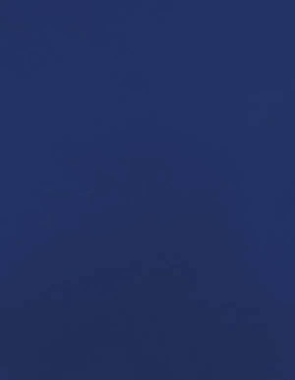 CAD-CUT® Premium Plus - Royal Blue 300 (ca. Pantone 286C)
