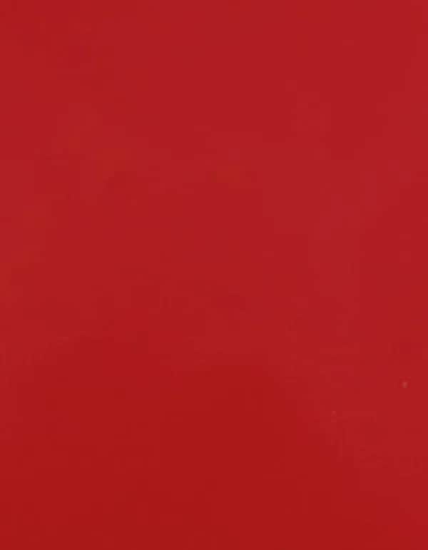 CAD-CUT® Premium Plus - Signal Red 210 (ca. Pantone 185C)