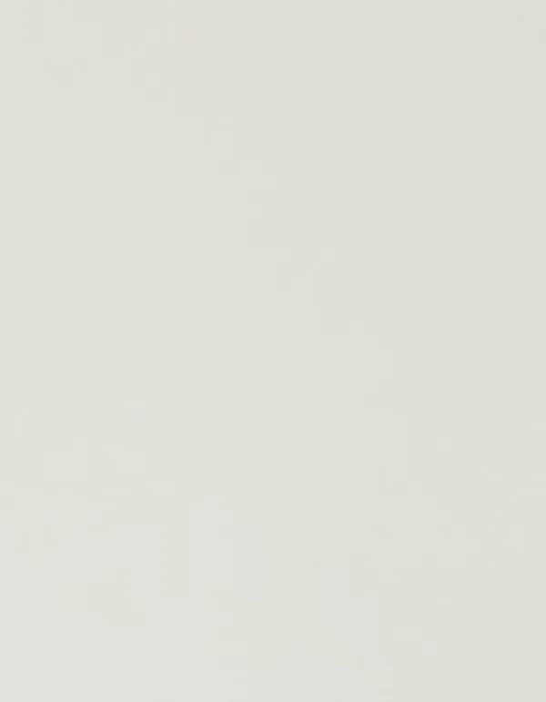 CAD-CUT® Premium Plus - White 001