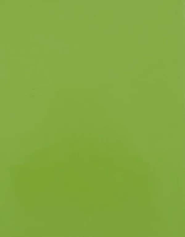 CAD-CUT® SportsFilm - Apple Green 421 (ca. Pantone 368C)