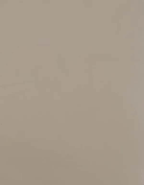 CAD-CUT® SportsFilm - Beige 004 (ca. Pantone 4685C)