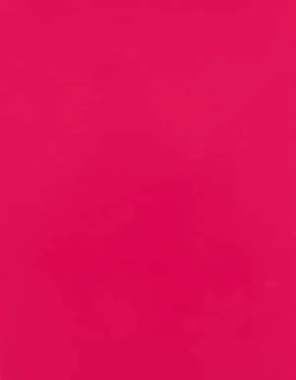 CAD-CUT® SportsFilm - Berry 253 (ca. Pantone 225C)