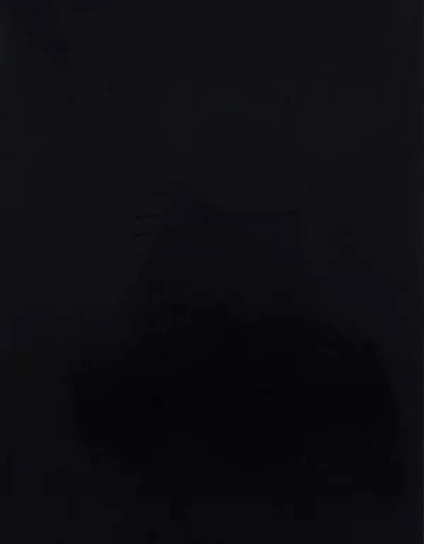 CAD-CUT® SportsFilm - Black 700