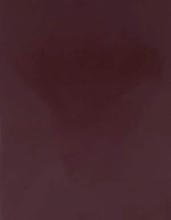 CAD-CUT® SportsFilm - Brown 550 (ca. Pantone 7616C)